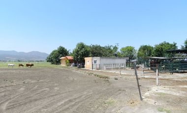 Tala - Rancho y Terreno en venta Cuisillos