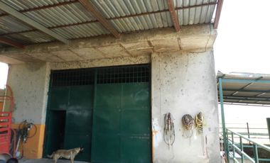 Tala - Rancho y Terreno en venta Cuisillos