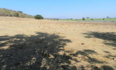 Tala - Rancho y Terreno en venta Cuisillos
