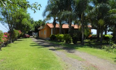 Tala - Rancho y Terreno en venta Cuisillos