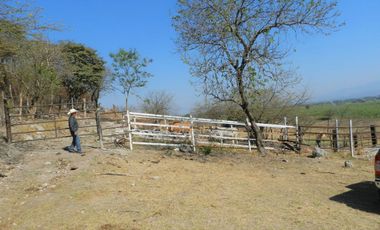 Tala - Rancho y Terreno en venta Cuisillos