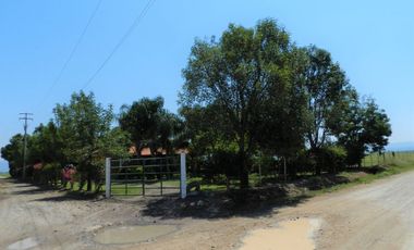Tala - Rancho y Terreno en venta Cuisillos