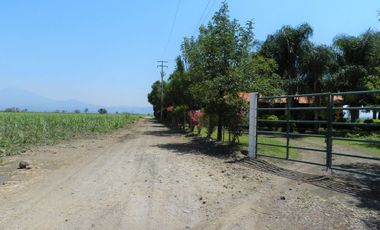 Tala - Rancho y Terreno en venta Cuisillos