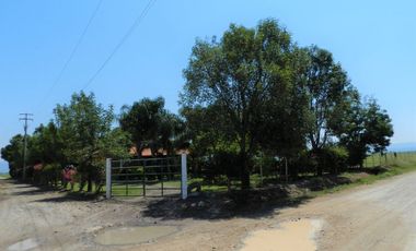 Tala - Rancho y Terreno en venta Cuisillos