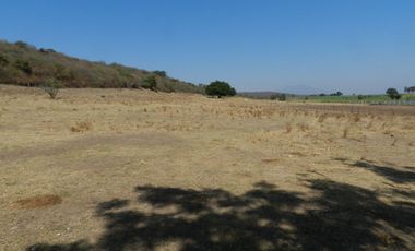 Tala - Rancho y Terreno en venta Cuisillos