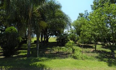 Tala - Rancho y Terreno en venta Cuisillos