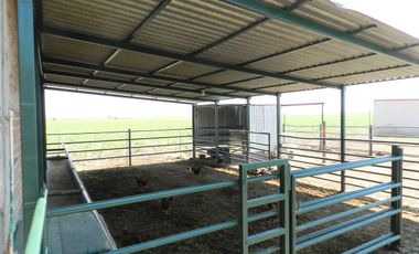 Tala - Rancho y Terreno en venta Cuisillos
