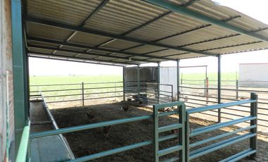 Tala - Rancho y Terreno en venta Cuisillos