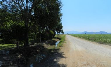 Tala - Rancho y Terreno en venta Cuisillos