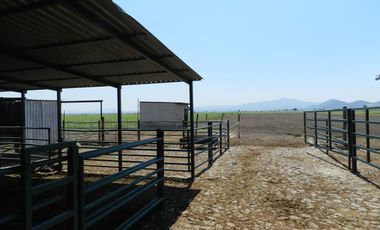 Tala - Rancho y Terreno en venta Cuisillos