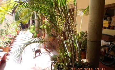 Vendo Casona en el Centro como Terreno 348m2, Calle Miguel Silva, con 2 locales, sin cochera.