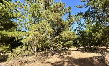 Sitio en venta en Boyeruca (Comuna Vichuquén)