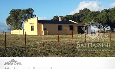 CAMPO AGRÍCOLA DE 17 HAS. EN MECHONGUÉ, PARTIDO DE ALVARADO, PROVINCIA DE BUENOS AIRES / CON CASA / LUZ ELÉCTRICA / PARQUIZADO / BIEN ALAMBRADO