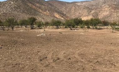Sitio en Venta en Las Brisas de Chicureo