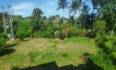 VILLA BISA NEGO DEKAT CENTRAL UBUD BALI