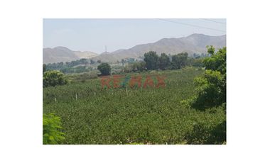 Venta De Dos  Lotes De Terrenos  Agrícolas En El Valle De Mala