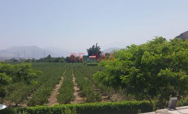 Venta De Dos  Lotes De Terrenos  Agrícolas En El Valle De Mala