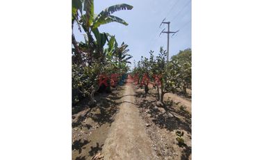 Venta De Dos  Lotes De Terrenos  Agrícolas En El Valle De Mala