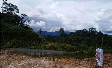 Venta de finca en Donoso (Colón) GTA