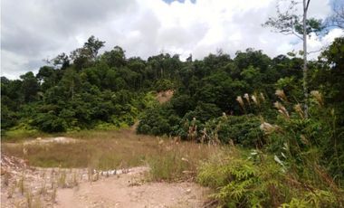 Venta de finca en Donoso (Colón) GTA