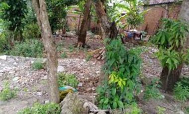 Dijual Tanah Terunag Kulon Krian Sidoarjo