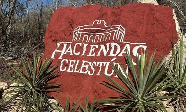 Venta de Fabulosos Macrolotes Tetíz-Celestún