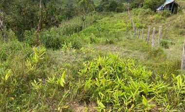 lote en venta en vereda papayal. Cod V1714