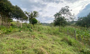 lote en venta en vereda papayal. Cod V1714