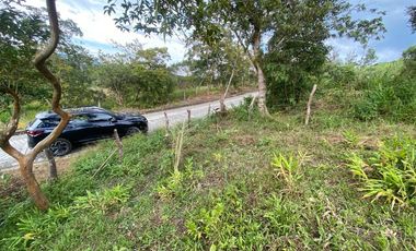 lote en venta en vereda papayal. Cod V1714