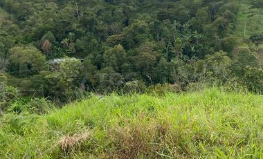 lote en venta en vereda papayal. Cod V1714