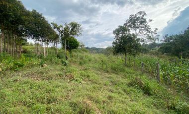 lote en venta en vereda papayal. Cod V1714