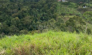 lote en venta en vereda papayal. Cod V1714