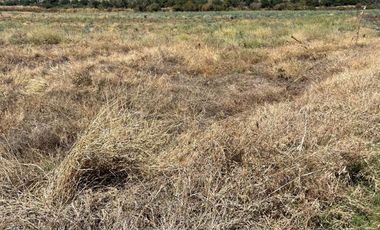 PARCELA CAMINO BUENAVISTA VALLE DE JUAREZ JAL
