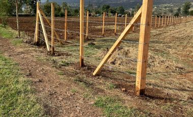 PARCELA CAMINO BUENAVISTA VALLE DE JUAREZ JAL