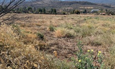 PARCELA CAMINO BUENAVISTA VALLE DE JUAREZ JAL
