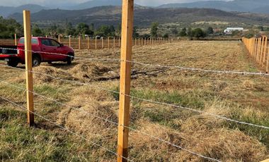 PARCELA CAMINO BUENAVISTA VALLE DE JUAREZ JAL