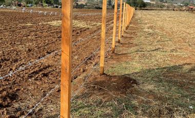 PARCELA CAMINO BUENAVISTA VALLE DE JUAREZ JAL