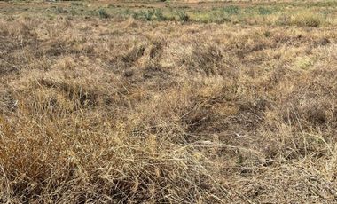 PARCELA CAMINO BUENAVISTA VALLE DE JUAREZ JAL