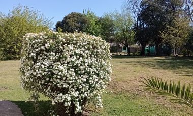 Casa 5 Ambientes Venta Moreno