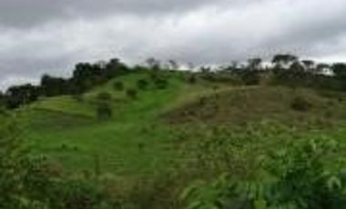Venta de Terreno en Mompiche Esmeraldas de 40.000 metros cuadrados