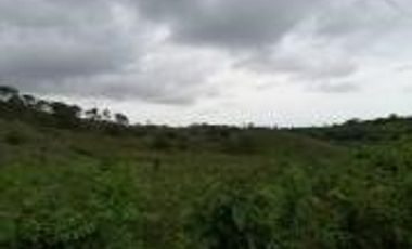 Venta de Terreno en Mompiche Esmeraldas de 40.000 metros cuadrados