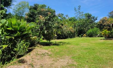 Finca en Damasco (Suroeste Antioqueño)