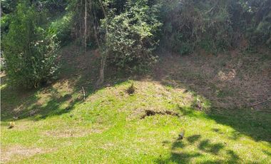 Finca en Damasco (Suroeste Antioqueño)