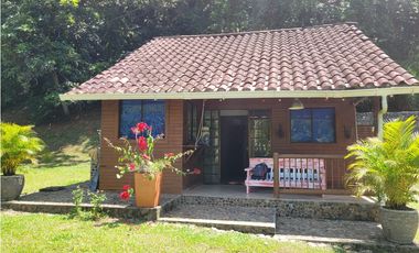 Finca en Damasco (Suroeste Antioqueño)