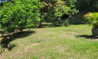 Finca en Damasco (Suroeste Antioqueño)