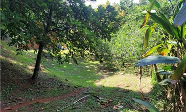 Finca en Damasco (Suroeste Antioqueño)