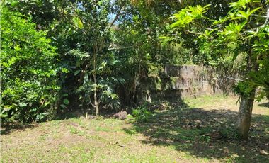 Finca en Damasco (Suroeste Antioqueño)