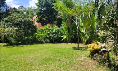 Finca en Damasco (Suroeste Antioqueño)
