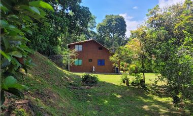 Finca en Damasco (Suroeste Antioqueño)