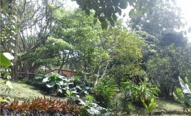 CASA FINCA POBLADO LOS BALSOS